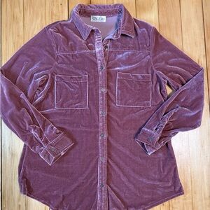 Velvet Button Down Shirt in Mauve